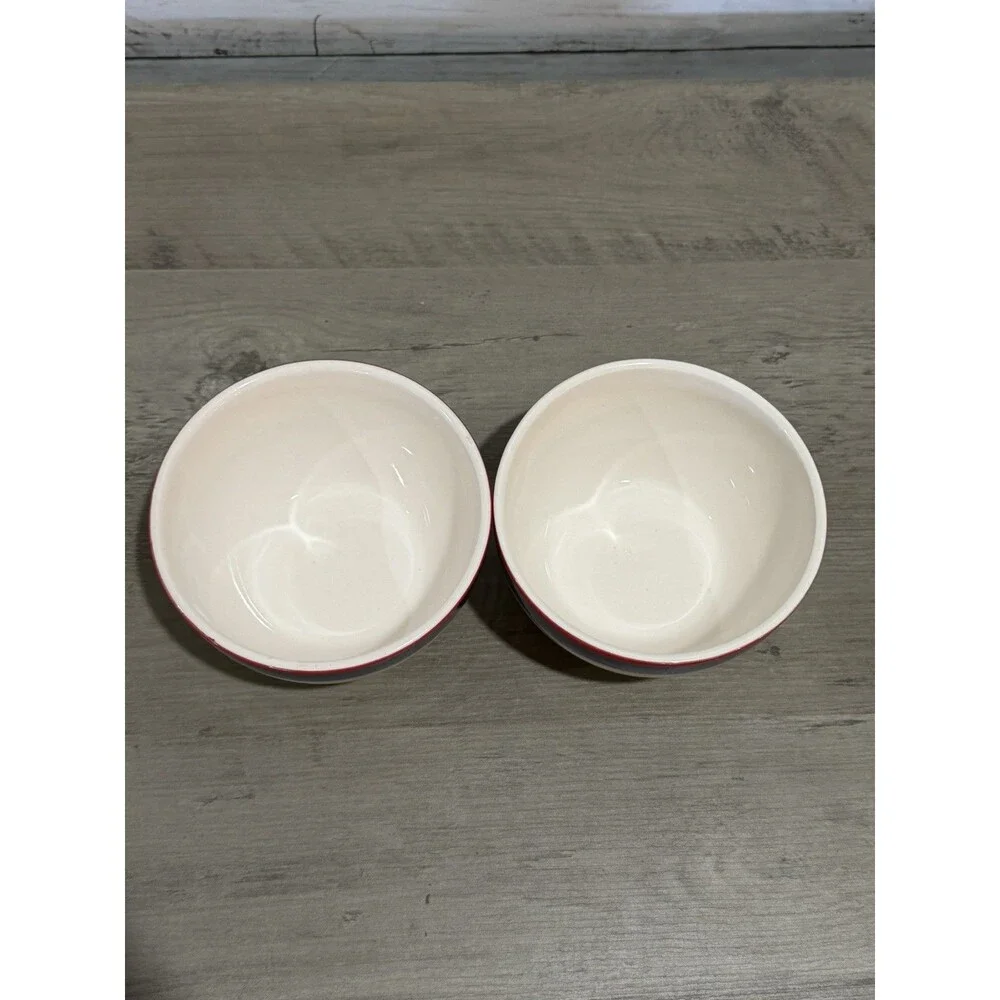 Set Of 2 PIER 1 Imports Soup/Cereal Bowls “Summer Stripes” Ironware RARE Vintage